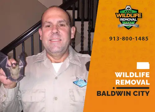 Baldwin City Wildlife Removal professional removing pest animal