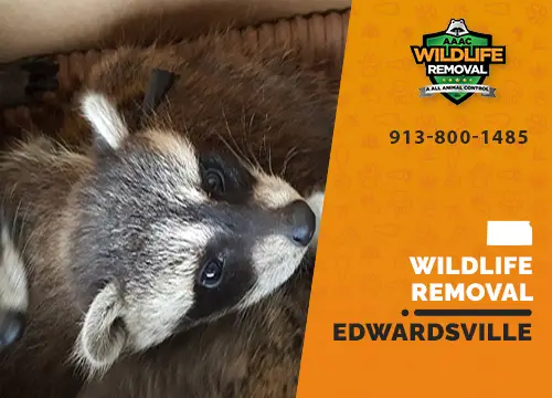 Edwardsville Wildlife Removal professional removing pest animal