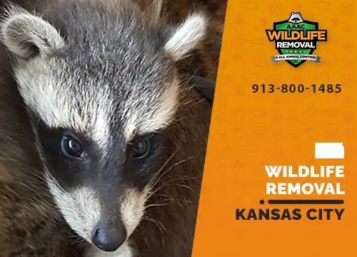 Kansas City Wildlife Removal professional removing pest animal