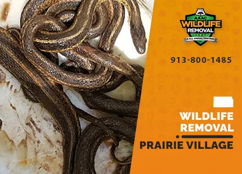 Prairie Village Wildlife Removal professional removing pest animal