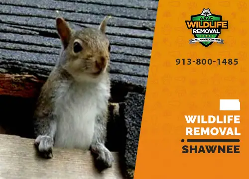 Shawnee Wildlife Removal professional removing pest animal